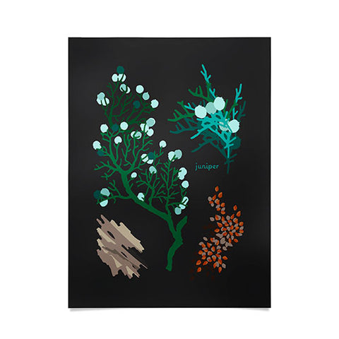 Holli Zollinger DESERT BOTANICAL JUNIPER Poster