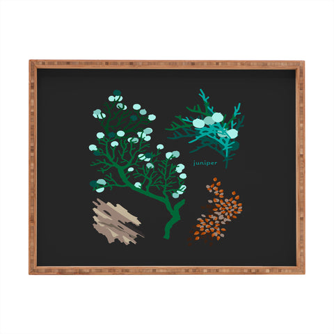 Holli Zollinger DESERT BOTANICAL JUNIPER Rectangular Tray