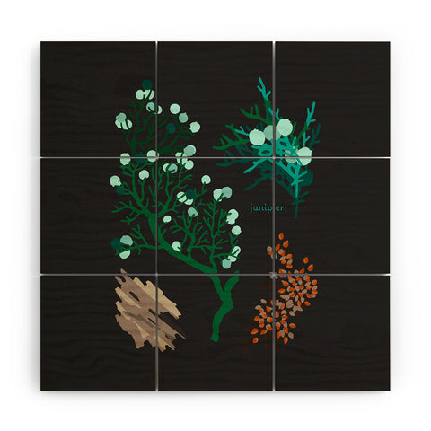 Holli Zollinger DESERT BOTANICAL JUNIPER Wood Wall Mural