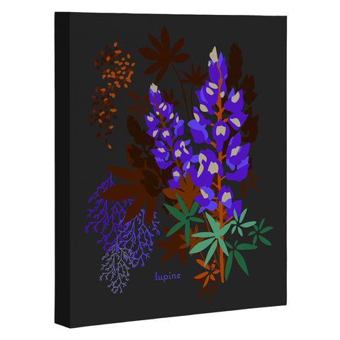 Holli Zollinger DESERT BOTANICAL LUPINE Art Canvas