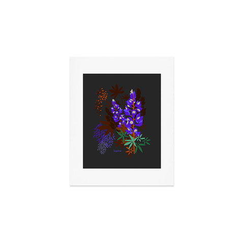 Holli Zollinger DESERT BOTANICAL LUPINE Art Print