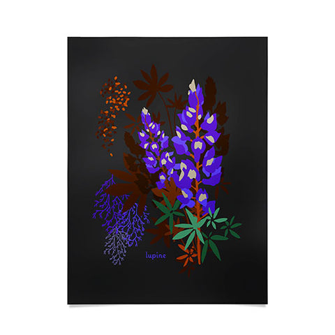 Holli Zollinger DESERT BOTANICAL LUPINE Poster