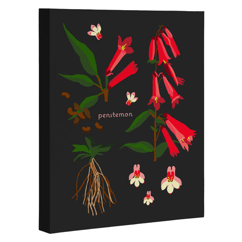 Holli Zollinger DESERT BOTANICAL PENSTEMON Art Canvas