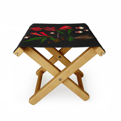 Holli Zollinger DESERT BOTANICAL PENSTEMON Folding Stool