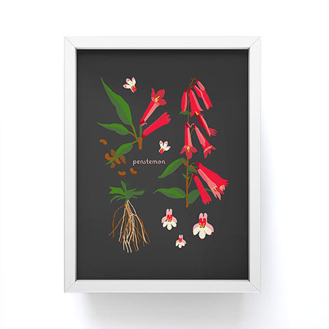 Holli Zollinger DESERT BOTANICAL PENSTEMON Framed Mini Art Print