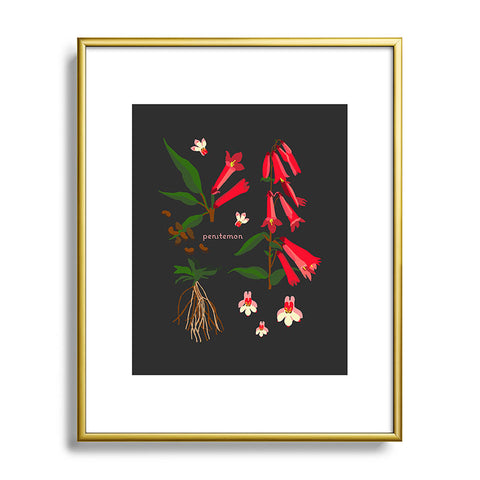 Holli Zollinger DESERT BOTANICAL PENSTEMON Metal Framed Art Print