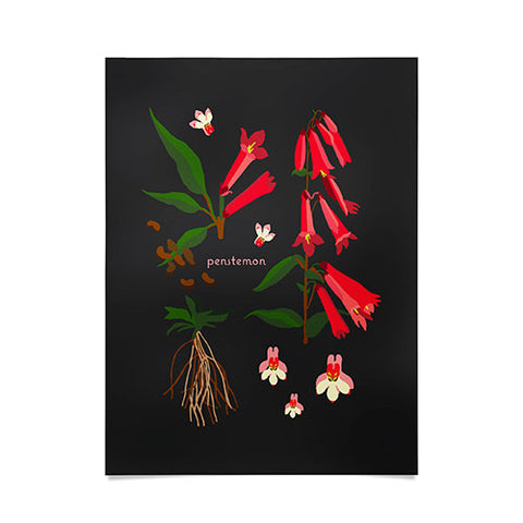 Holli Zollinger DESERT BOTANICAL PENSTEMON Poster