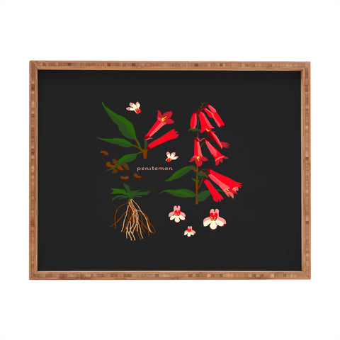 Holli Zollinger DESERT BOTANICAL PENSTEMON Rectangular Tray
