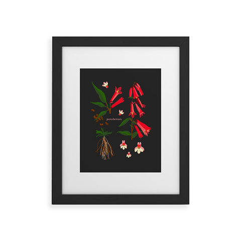 Holli Zollinger DESERT BOTANICAL PENSTEMON Framed Art Print