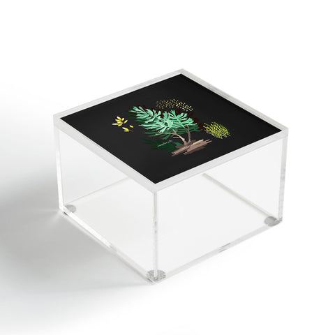 Holli Zollinger DESERT BOTANICAL SAGEBRUSH Acrylic Box
