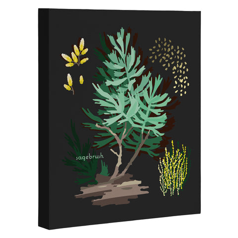 Holli Zollinger DESERT BOTANICAL SAGEBRUSH Art Canvas