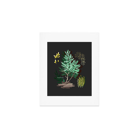 Holli Zollinger DESERT BOTANICAL SAGEBRUSH Art Print