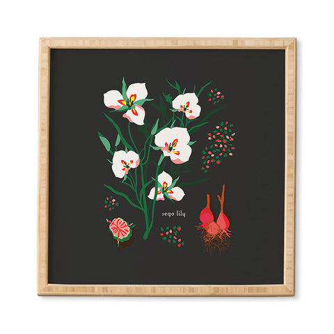 Holli Zollinger DESERT BOTANICAL SEGO LILY Framed Wall Art