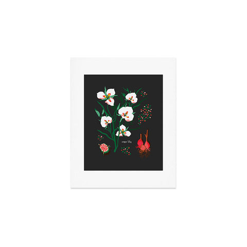 Holli Zollinger DESERT BOTANICAL SEGO LILY Art Print