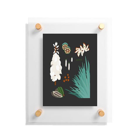 Holli Zollinger DESERT BOTANICAL YUCCA Floating Acrylic Print