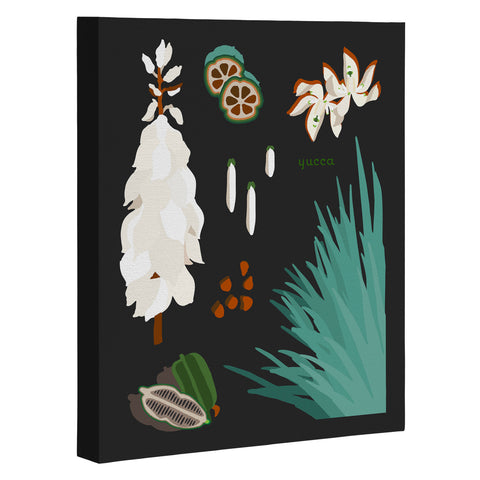 Holli Zollinger DESERT BOTANICAL YUCCA Art Canvas