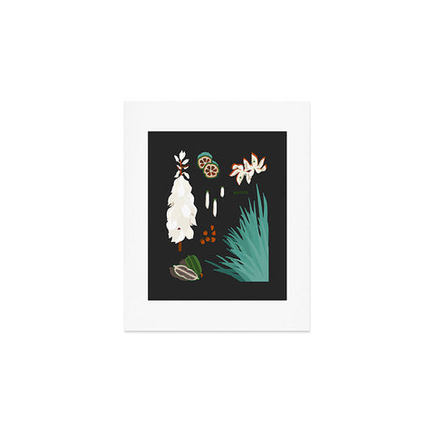 Holli Zollinger DESERT BOTANICAL YUCCA Art Print