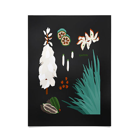 Holli Zollinger DESERT BOTANICAL YUCCA Poster