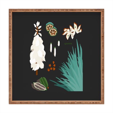 Holli Zollinger DESERT BOTANICAL YUCCA Square Tray