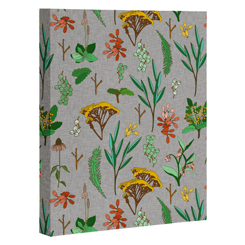 Holli Zollinger HERBAL STUDY LINEN Art Canvas
