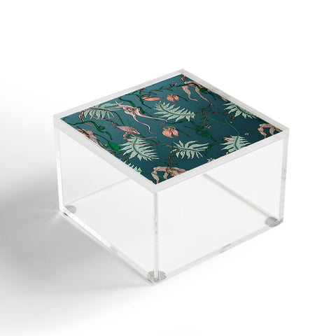 Holli Zollinger ORCHID BOTANICAL Acrylic Box