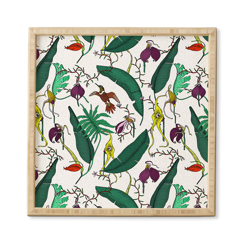 Holli Zollinger ORCHID GARDEN Framed Wall Art