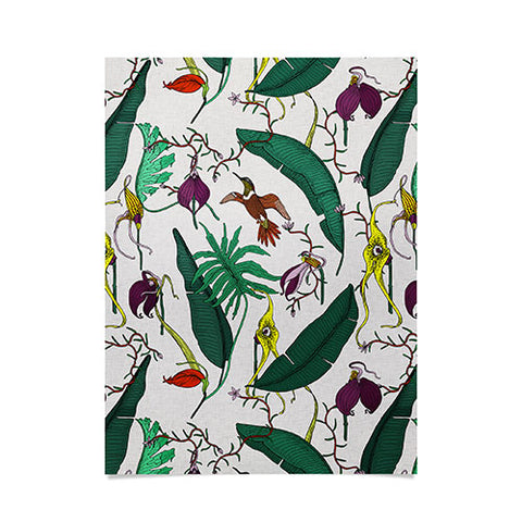 Holli Zollinger ORCHID GARDEN Poster