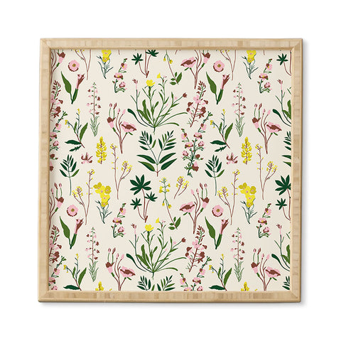 Holli Zollinger WILDFLOWER STUDY LIGHT Framed Wall Art