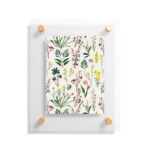 Holli Zollinger WILDFLOWER STUDY LIGHT Floating Acrylic Print