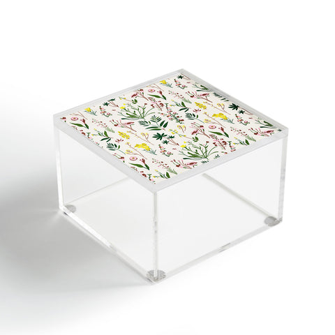 Holli Zollinger WILDFLOWER STUDY LIGHT Acrylic Box