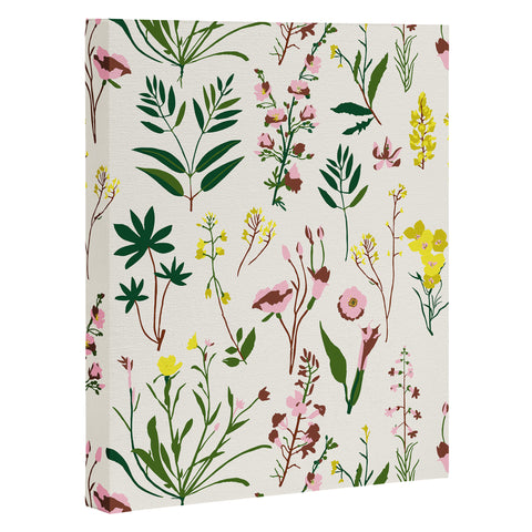 Holli Zollinger WILDFLOWER STUDY LIGHT Art Canvas