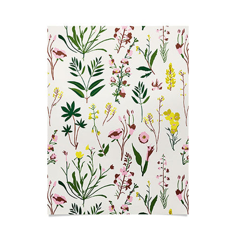 Holli Zollinger WILDFLOWER STUDY LIGHT Poster