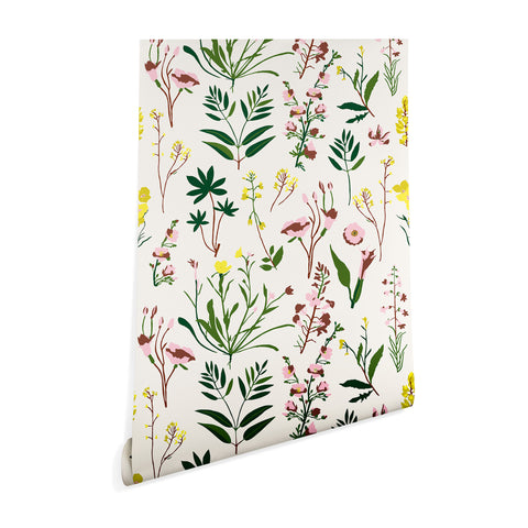 Holli Zollinger WILDFLOWER STUDY LIGHT Wallpaper