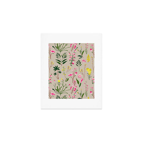 Holli Zollinger WILDFLOWER STUDY NEUTRAL Art Print