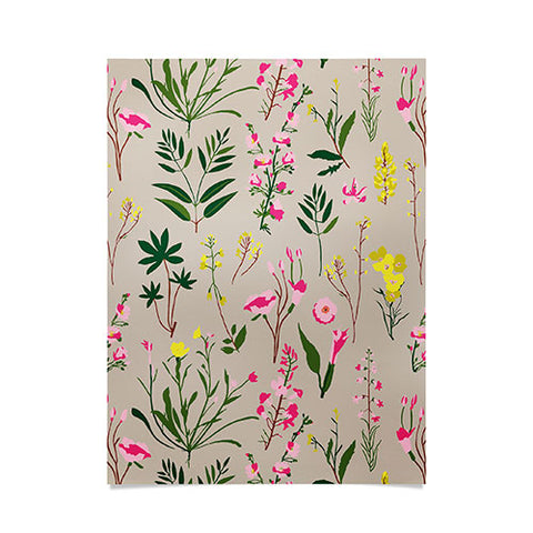Holli Zollinger WILDFLOWER STUDY NEUTRAL Poster