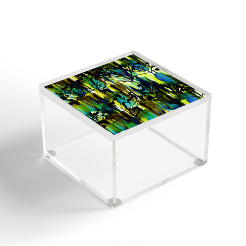 Holly Sharpe Inky Forest Acrylic Box