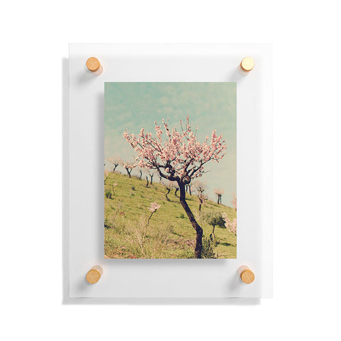 Ingrid Beddoes Almond Blossom Hill Floating Acrylic Print