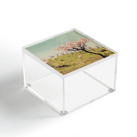 Ingrid Beddoes Almond Blossom Hill Acrylic Box