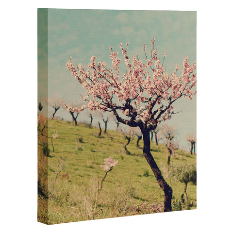 Ingrid Beddoes Almond Blossom Hill Art Canvas