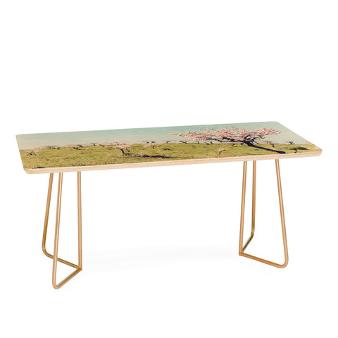 Ingrid Beddoes Almond Blossom Hill Coffee Table