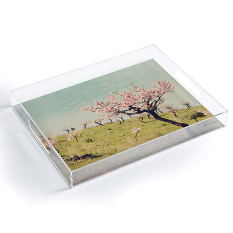 Ingrid Beddoes Almond Blossom Hill Acrylic Tray