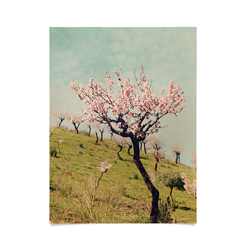Ingrid Beddoes Almond Blossom Hill Poster