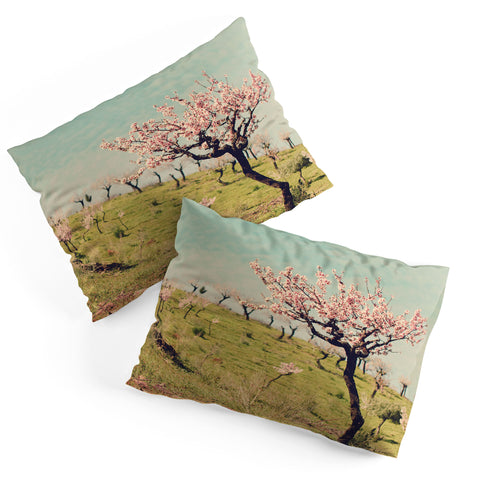 Ingrid Beddoes Almond Blossom Hill Pillow Shams