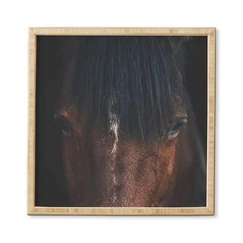 Ingrid Beddoes Apache Framed Wall Art