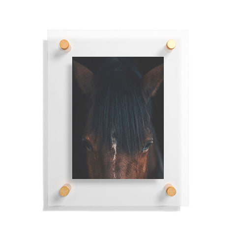 Ingrid Beddoes Apache Floating Acrylic Print