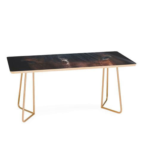 Ingrid Beddoes Apache Coffee Table