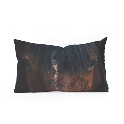 Ingrid Beddoes Apache Oblong Throw Pillow