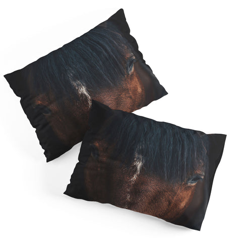 Ingrid Beddoes Apache Pillow Shams