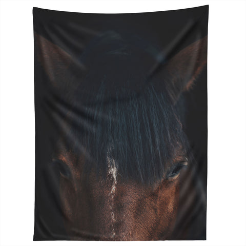 Ingrid Beddoes Apache Tapestry