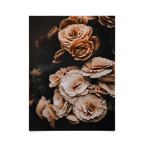 Ingrid Beddoes Begonia Flowers Poster